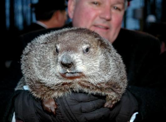 Punxsutawney Phil