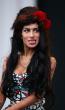 Amy Winehouse: Normal Hair!
