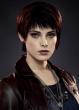 Ashley Greene as Alice Cullen