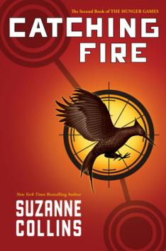 Francis Lawrence Named Director of Catching Fire » Gossip/catching fire novel