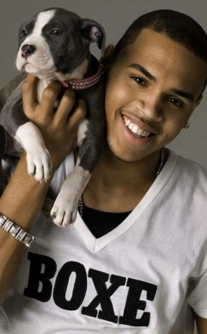 Chris Brown, Dog