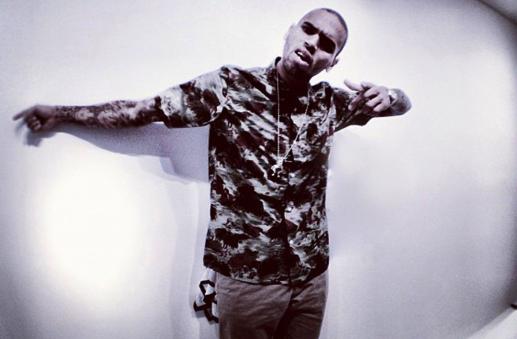 Chris Brown Twit Pic