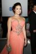 Demi Lovato PCA Dress