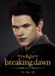 Emmett Cullen Breaking Dawn Poster