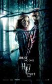 Hermione and Ron Poster
