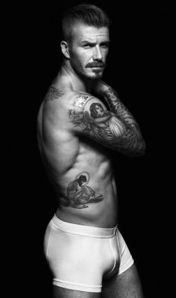 HOT David Beckham Underwear Photo