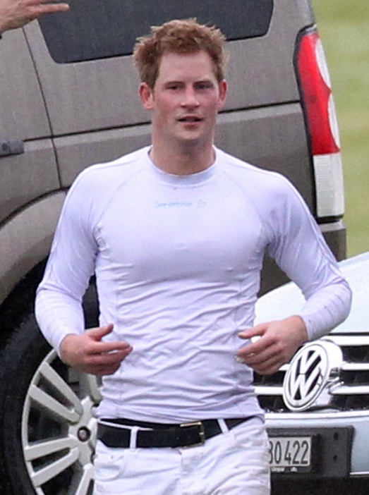 prince harry hot. Hot Prince Harry Picture