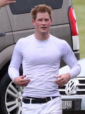 Hot Prince Harry Picture