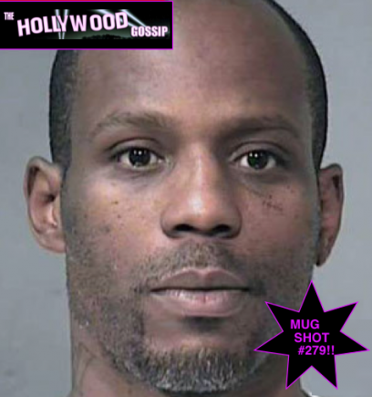 Latest DMX Mug Shot