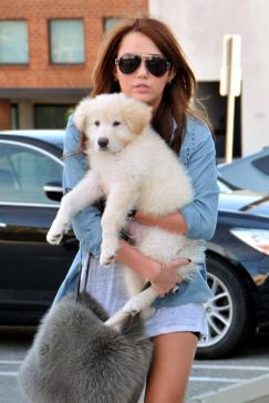 Miley and Puppy