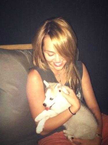 Miley Cyrus and New Puppy