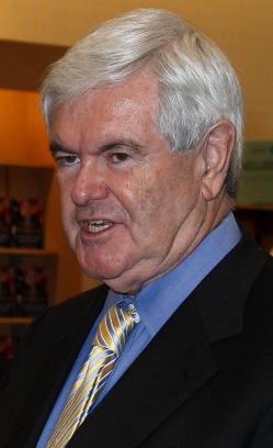 Newt Gingrich Picture
