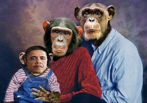 Obama Chimp Photo