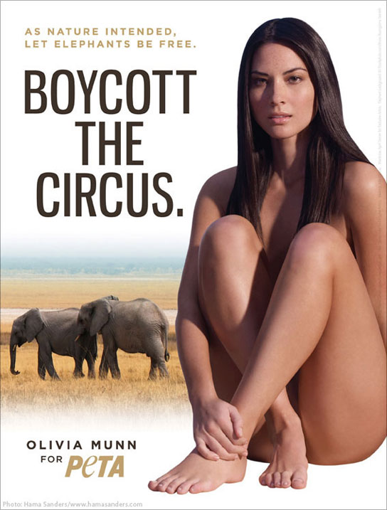 How much does Olivia Munn love elephants She's willing to pose naked on