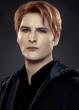 Peter Facinelli as Carlisle