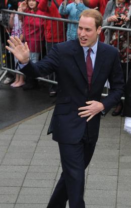 Prince William Waving