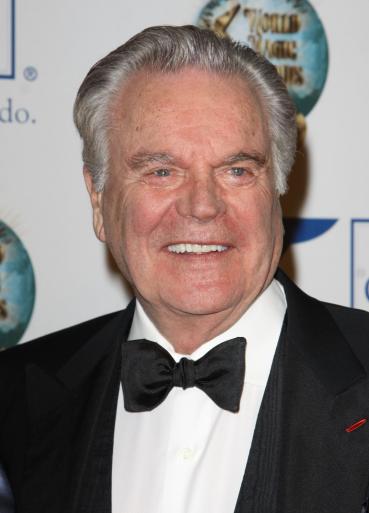 Robert Wagner Picture