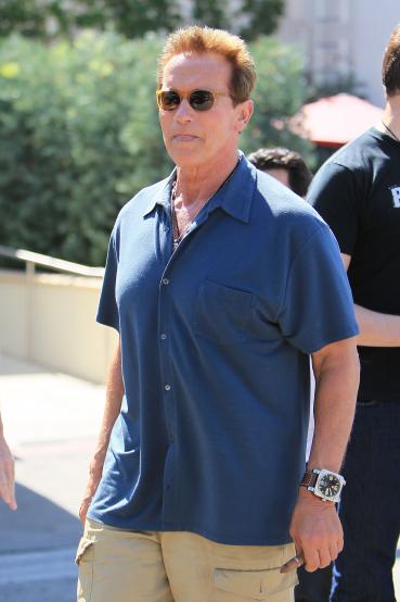 Schwarzenegger Pic