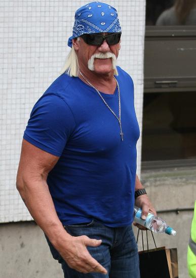 THE Hulk Hogan