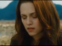Another New Moon Trailer