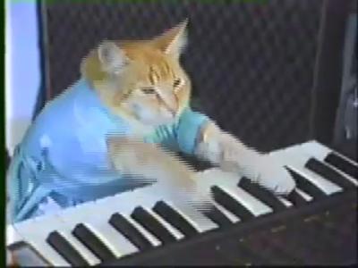 Keyboard Cat!